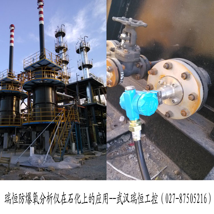 防爆氧分析仪的应用